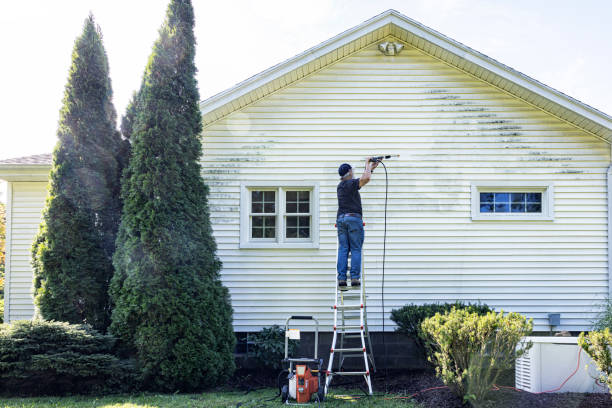 Best Graffiti Removal  in Follansbee, WV